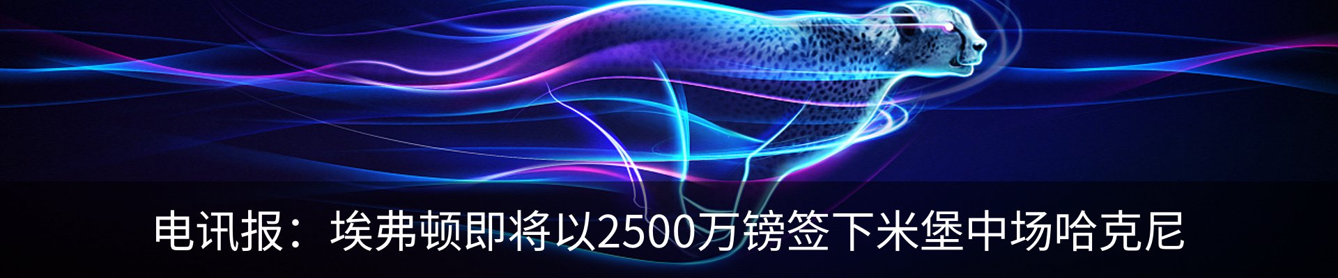 资讯动态